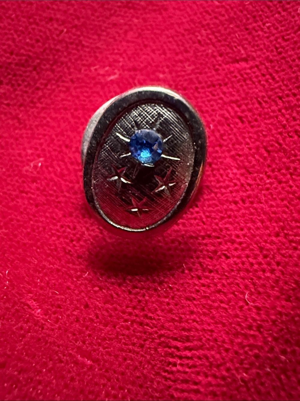 Men's Silver-Tone Oval Lapel Pin with Blue Stone